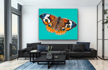 Load image into Gallery viewer, Buckeye (SOLD)