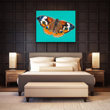 Load image into Gallery viewer, Buckeye Print
