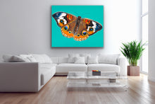 Load image into Gallery viewer, Buckeye Print